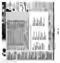 Fig. 13 - Metasearching by sending a plurality of queries to a plurality of servers
