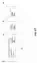 Fig. 182 - Metasearching by sending a plurality of queries to a plurality of servers