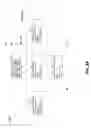 Fig. 214 - Metasearching by sending a plurality of queries to a plurality of servers