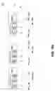 Fig. 217 - Metasearching by sending a plurality of queries to a plurality of servers