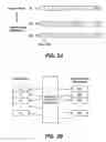 Fig. 04 - Structures for the management of erase operations in non-volatile memories