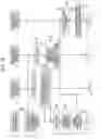 Fig. 11 - Method and system for processing information