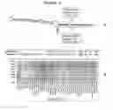 Fig. 22 - Recombinant DNA constructs and methods for controlling gene expression