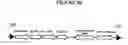 Fig. 31 - Recombinant DNA constructs and methods for controlling gene expression