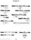 Fig. 09 - Recombinant DNA constructs compressing engineered plant microRNAs and methods for controlling gene expression