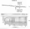 Fig. 22 - Recombinant DNA constructs compressing engineered plant microRNAs and methods for controlling gene expression