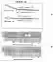 Fig. 25 - Recombinant DNA constructs compressing engineered plant microRNAs and methods for controlling gene expression