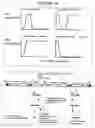 Fig. 30 - Recombinant DNA constructs compressing engineered plant microRNAs and methods for controlling gene expression