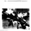Fig. 03 - Peach tree named 'MSUP8706'