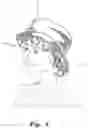 Fig. 05 - Hat wig