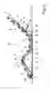 Fig. 03 - Device for receiving at least one mattress for beds, cots or the like