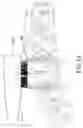 Fig. 15 - FLUID DRIVEN TOOTHBRUSH
