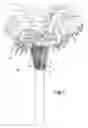 Fig. 02 - Aroma duster