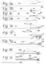 Fig. 06 - Process for making a recloseable package