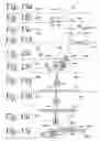 Fig. 16 - Process for making a recloseable package