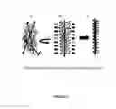 Fig. 18 - Electrospray neutralization process and apparatus for generation of nano-aerosol and nano-structured materials