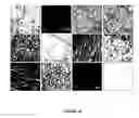 Fig. 21 - Electrospray neutralization process and apparatus for generation of nano-aerosol and nano-structured materials