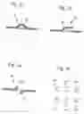Fig. 04 - Catalyst body and an exhaust system for a small-size engine and a method for producing the catalyst body