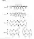 Fig. 04 - Seamless glove of high support performance