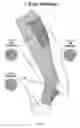 Fig. 03 - Functional compression socks