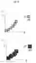Fig. 17 - Production method of indentation curve and hardness test method