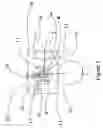 Fig. 06 - Apparatus for storing separating and filtering coffee filters