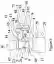 Fig. 08 - Apparatus for storing separating and filtering coffee filters