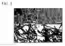 Fig. 04 - Metal oxide and metal fluoride nanostructures and methods of making same