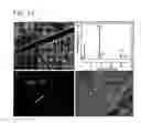 Fig. 12 - Metal oxide and metal fluoride nanostructures and methods of making same