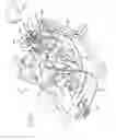 Fig. 02 - Governor system for gasoline powered vehicles