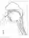 Fig. 03 - Auto-inflation cuffs