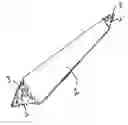 Fig. 01 - Disposable manicure and nail cleaning device