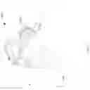 Fig. 18 - Method and apparatus for waste evacuation