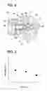 Fig. 03 - High-pressure fuel pump