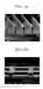 Fig. 06 - Method of manufacturing barrier rib structure for flat display panel