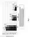 Fig. 03 - Hydraulic fracturing proppants and methods of use