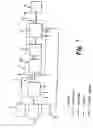 Fig. 08 - Beverage dispense