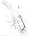 Fig. 02 - Helicopter collapsible deck