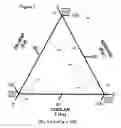 Fig. 02 - Cryogenic fluid composition