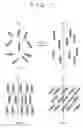 Fig. 02 - Smectic liquid crystal device and process for producing the same