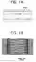 Fig. 02 - Polycrystalline silicon thin film, fabrication method thereof, and thin film transistor without directional dependency on active channels fabricated using the same