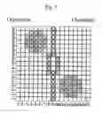 Fig. 06 - Board game named Tora