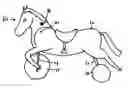 Fig. 01 - Galloping riding toy