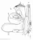 Fig. 05 - Snowboard binding