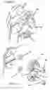 Fig. 10 - Stroller passenger assembly