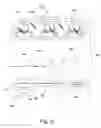 Fig. 06 - System and method for actuation of a head restraint