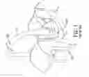 Fig. 02 - Child carrier