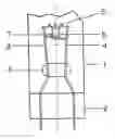 Fig. 01 - Low-pressure discharge lamp