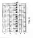 Fig. 12 - Driving apparatus for vibration type actuator and driving method for vibration type actuator