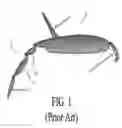 Fig. 02 - EGPWS FLAP POSITION ENHANCEMENT